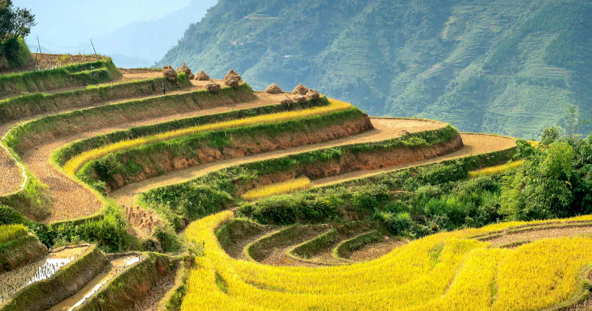 Ukraine Rice Introducing the SGS Focus on Rice 2025 newsletter | SGS Ukraine
