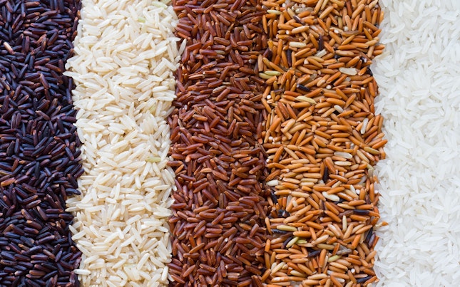 Rows of Rice Stock