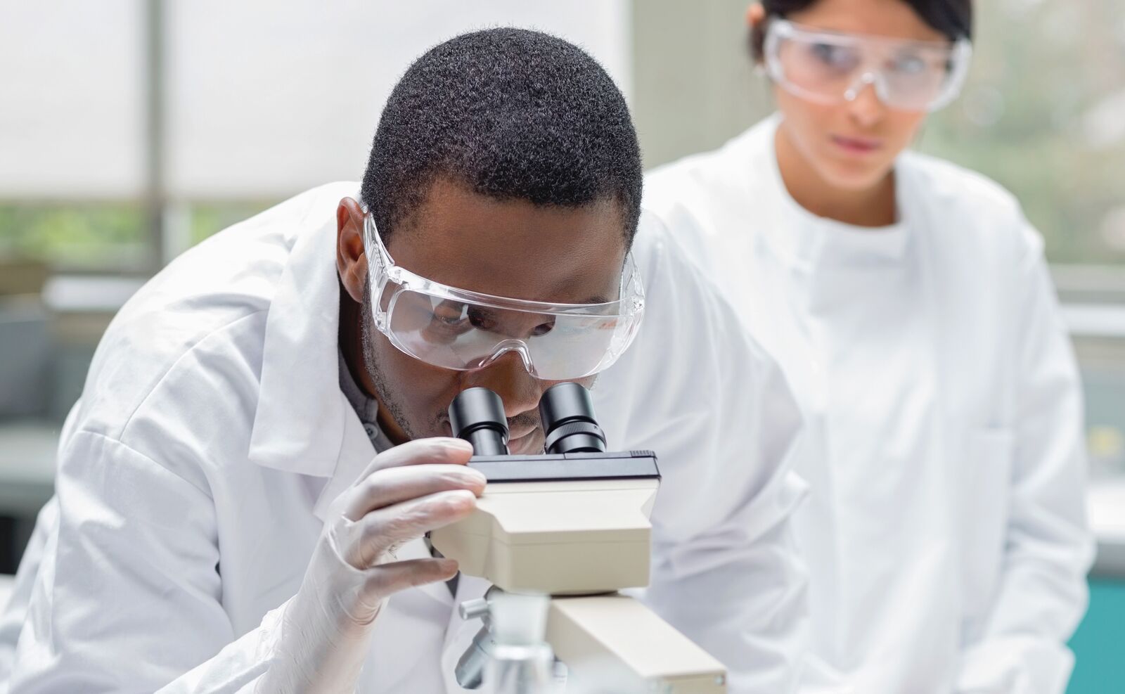 The Importance of Accreditation in Seed Testing | SGS United Kingdom