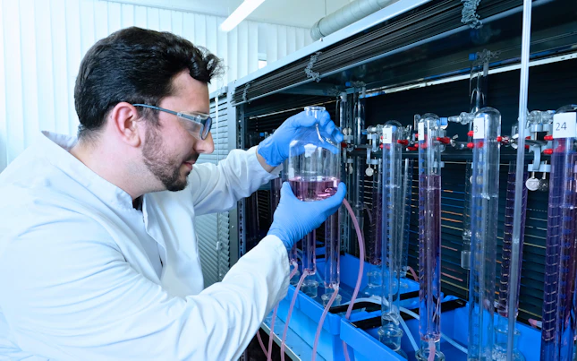 Aerial View of the Coast