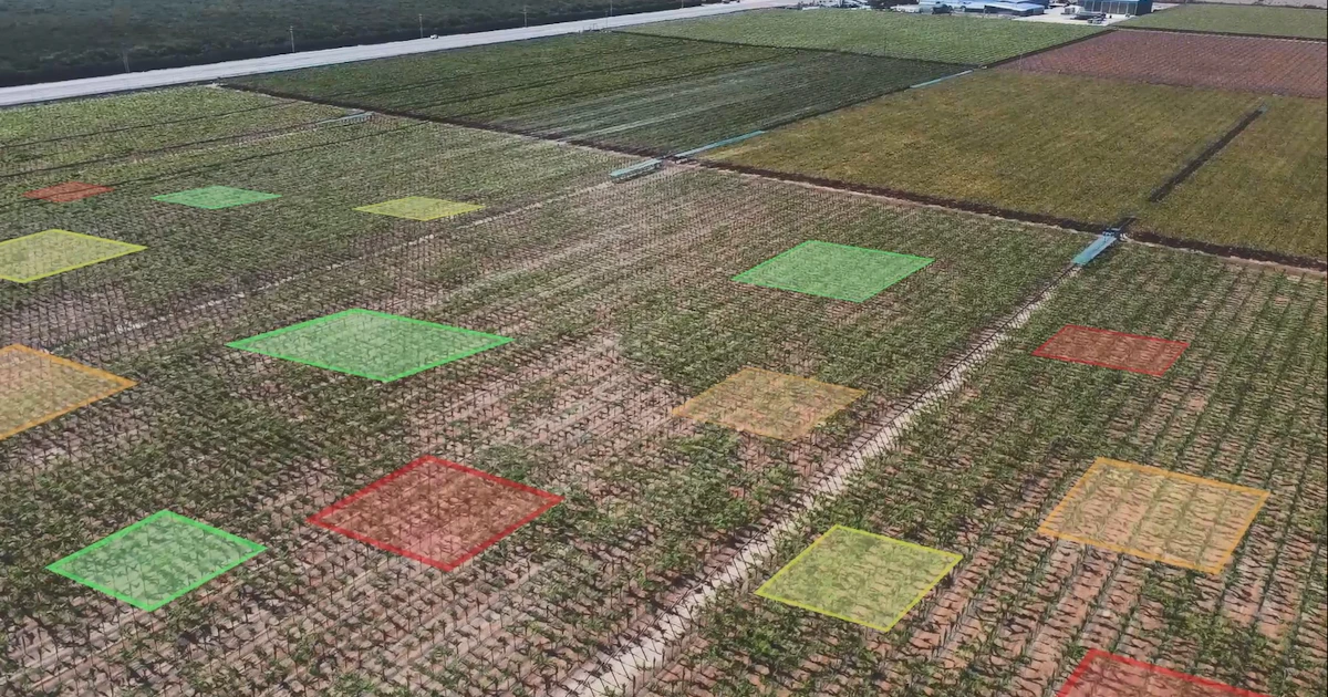 Example Metal Mapping Soil Mapping: Improving Heavy Metal Monitoring | SGS Iraq
