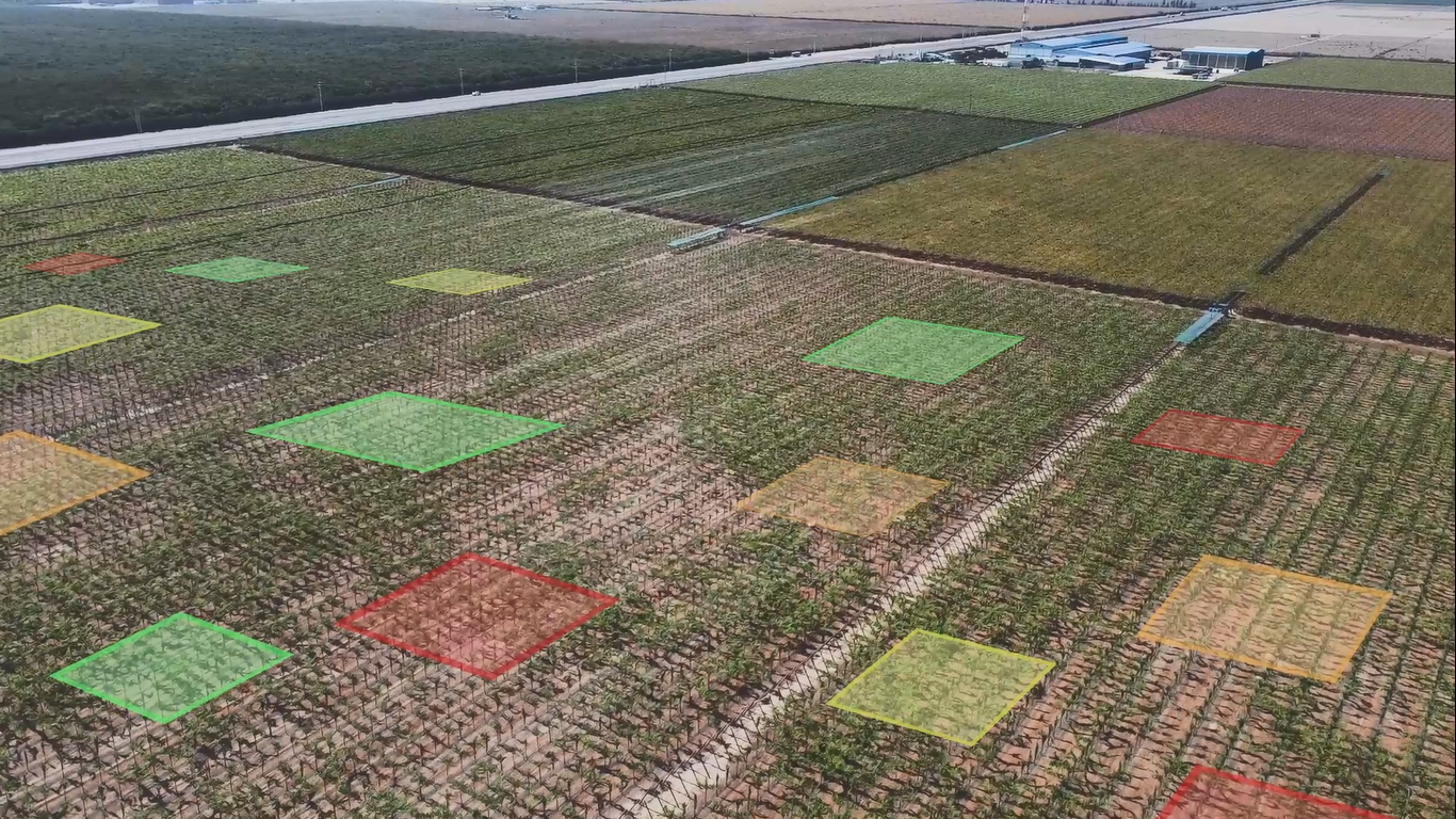Soil mapping field