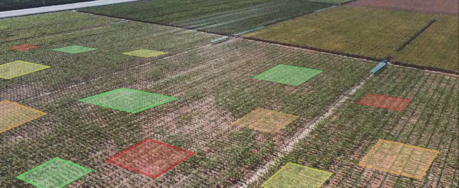 Soil mapping field
