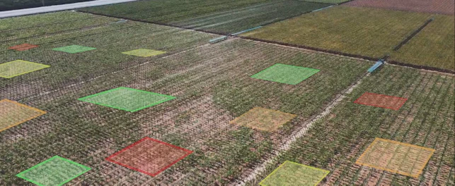 Soil mapping field