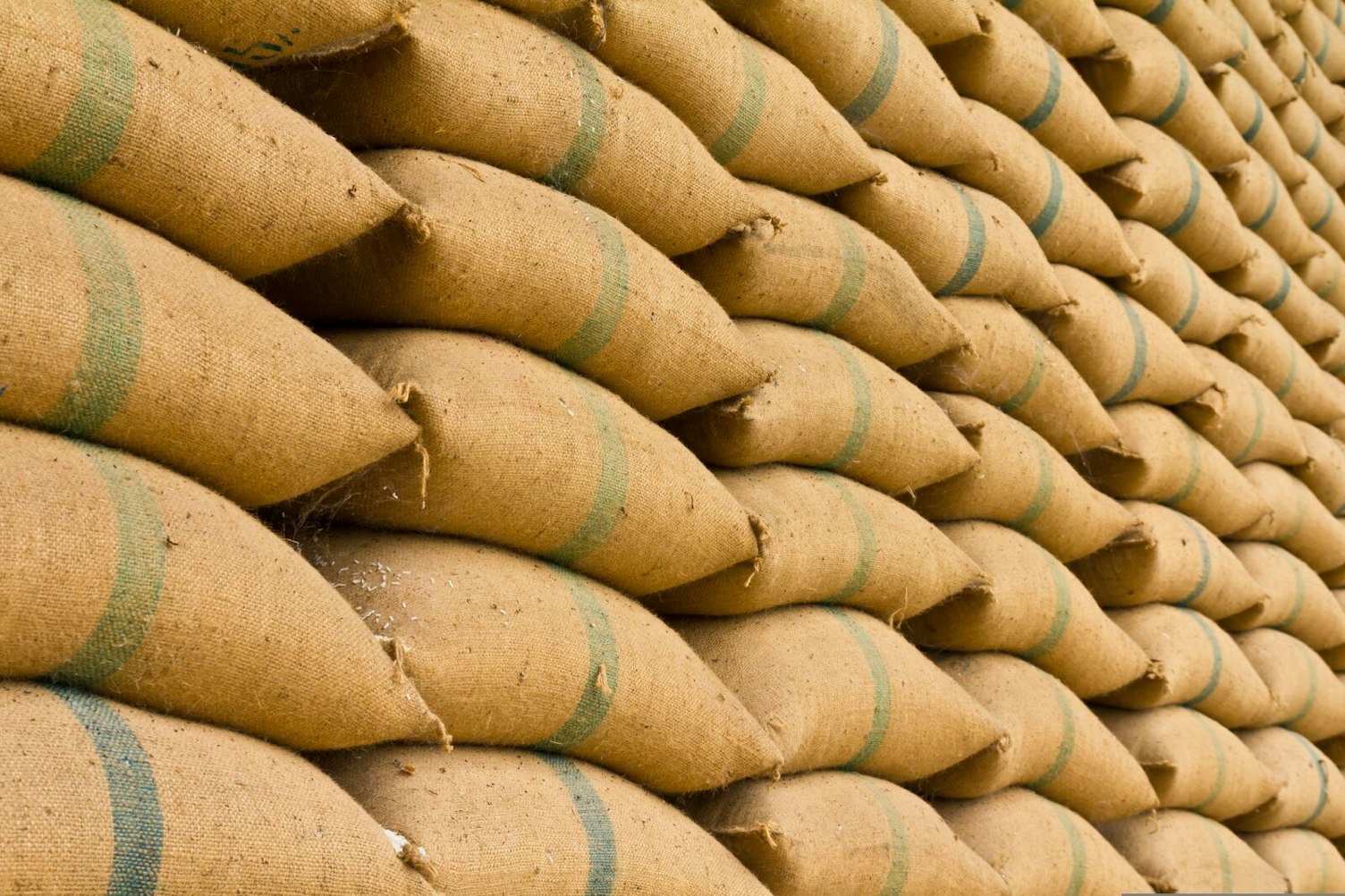 Stack of Grain Bags