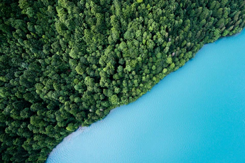Tropical Landscape