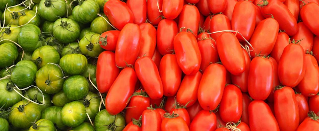 Variety of Tomatoes