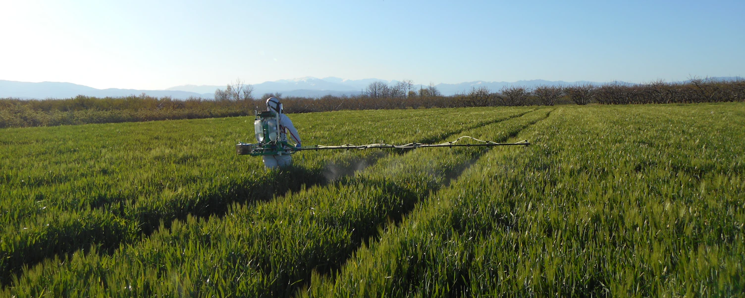 Worker Spraying Crops