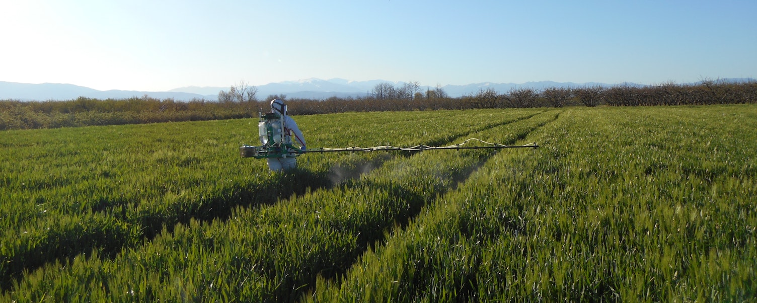 Worker Spraying Crops