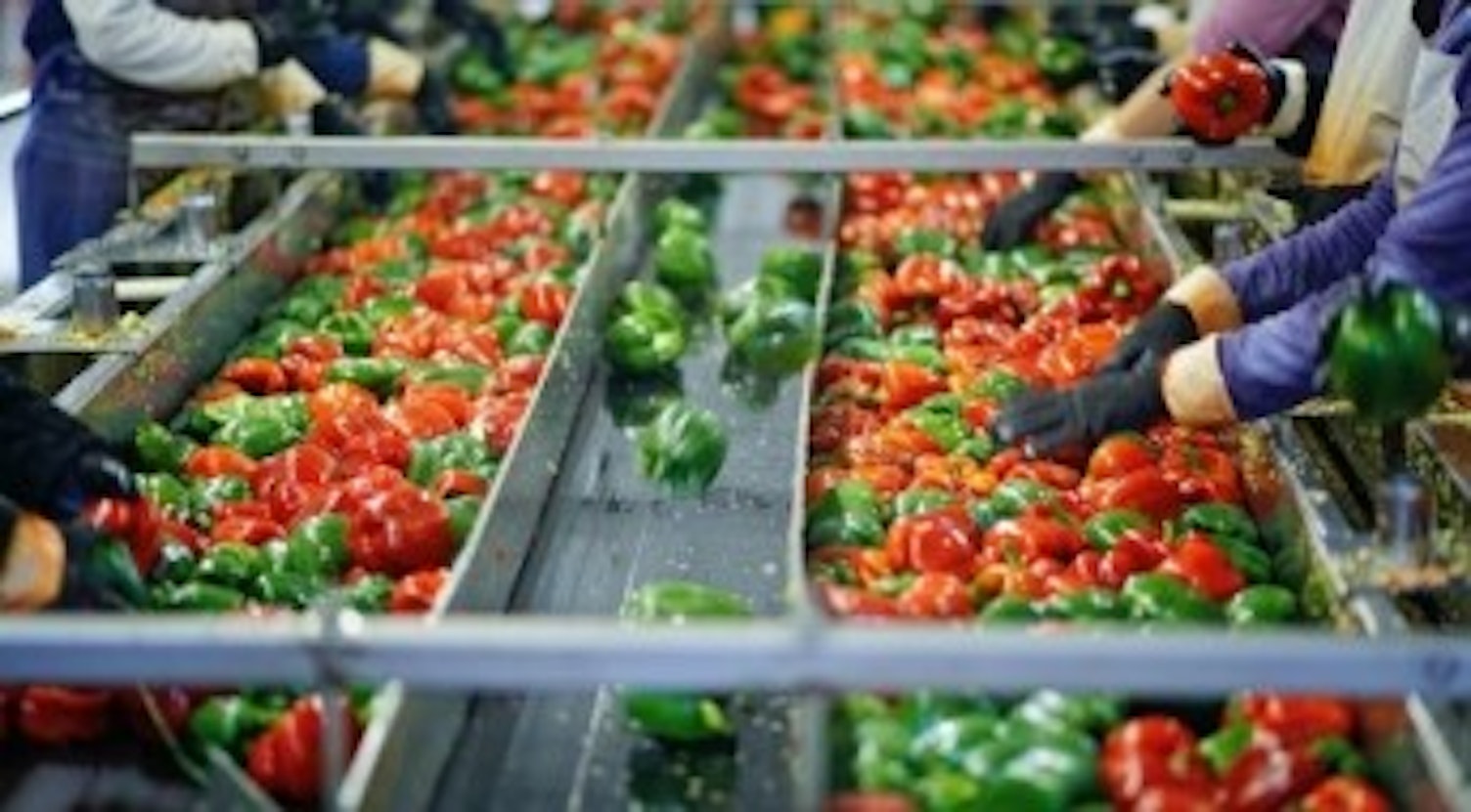 Academy Food Webinar