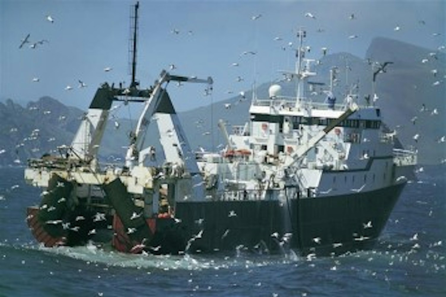 Fish Industry Post Brexit