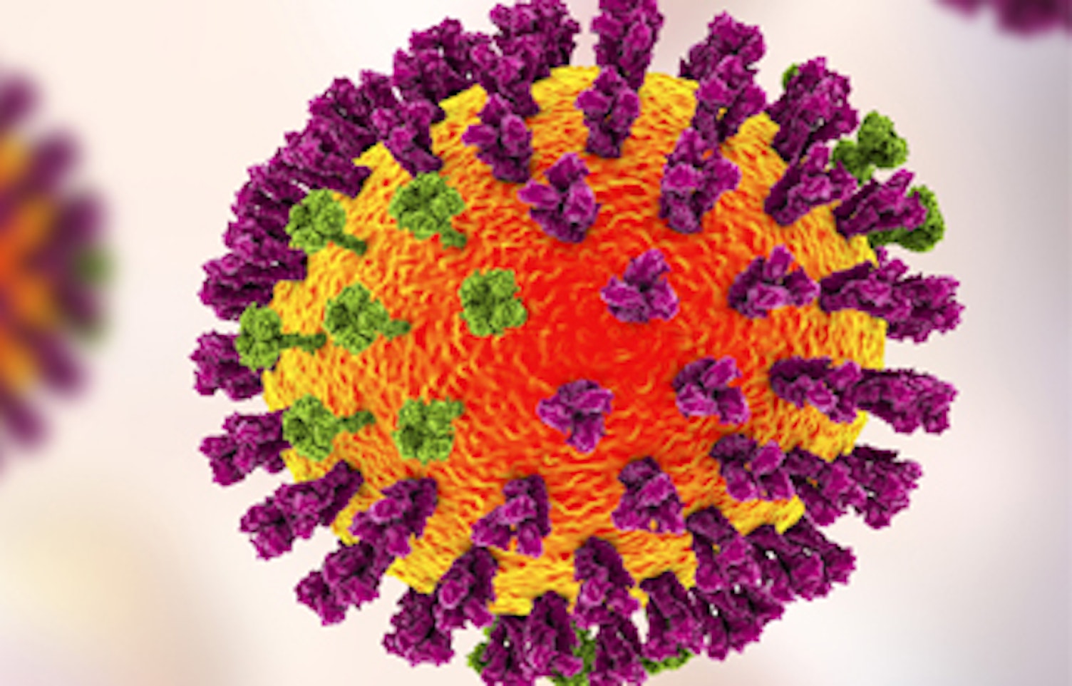 Illustration of Influenza Virus