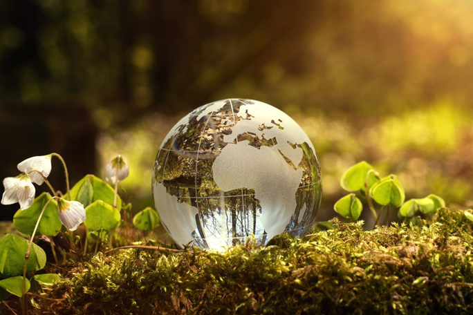 main feature globe and plants