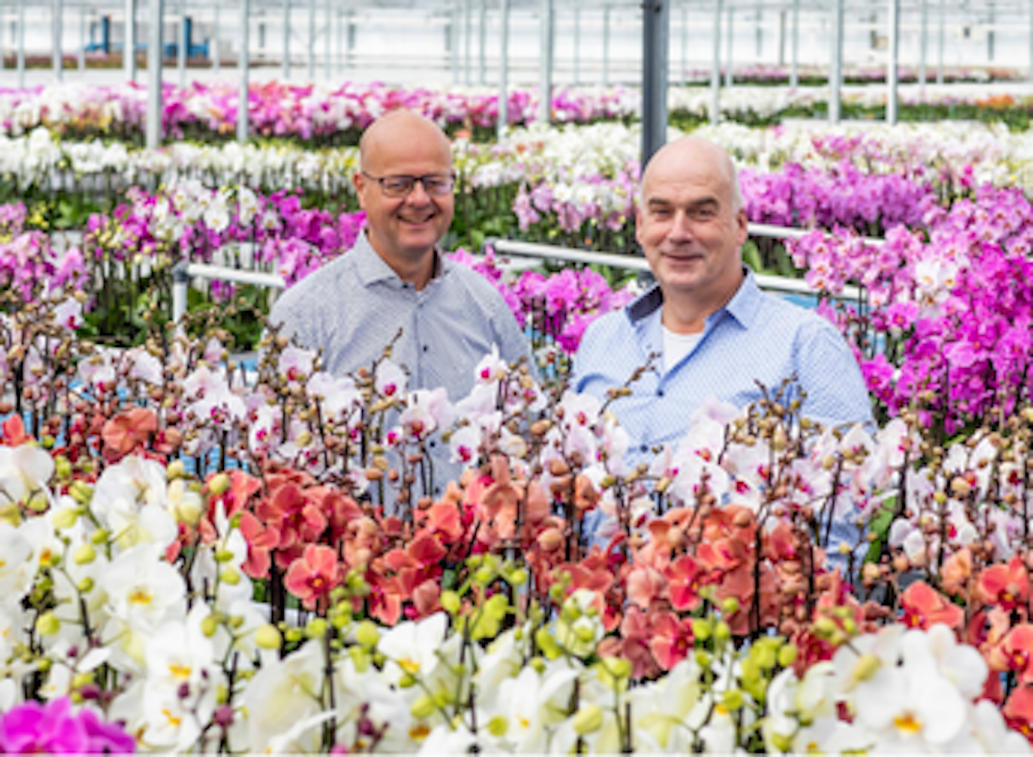 Artikel sierteelt Coert Marcel