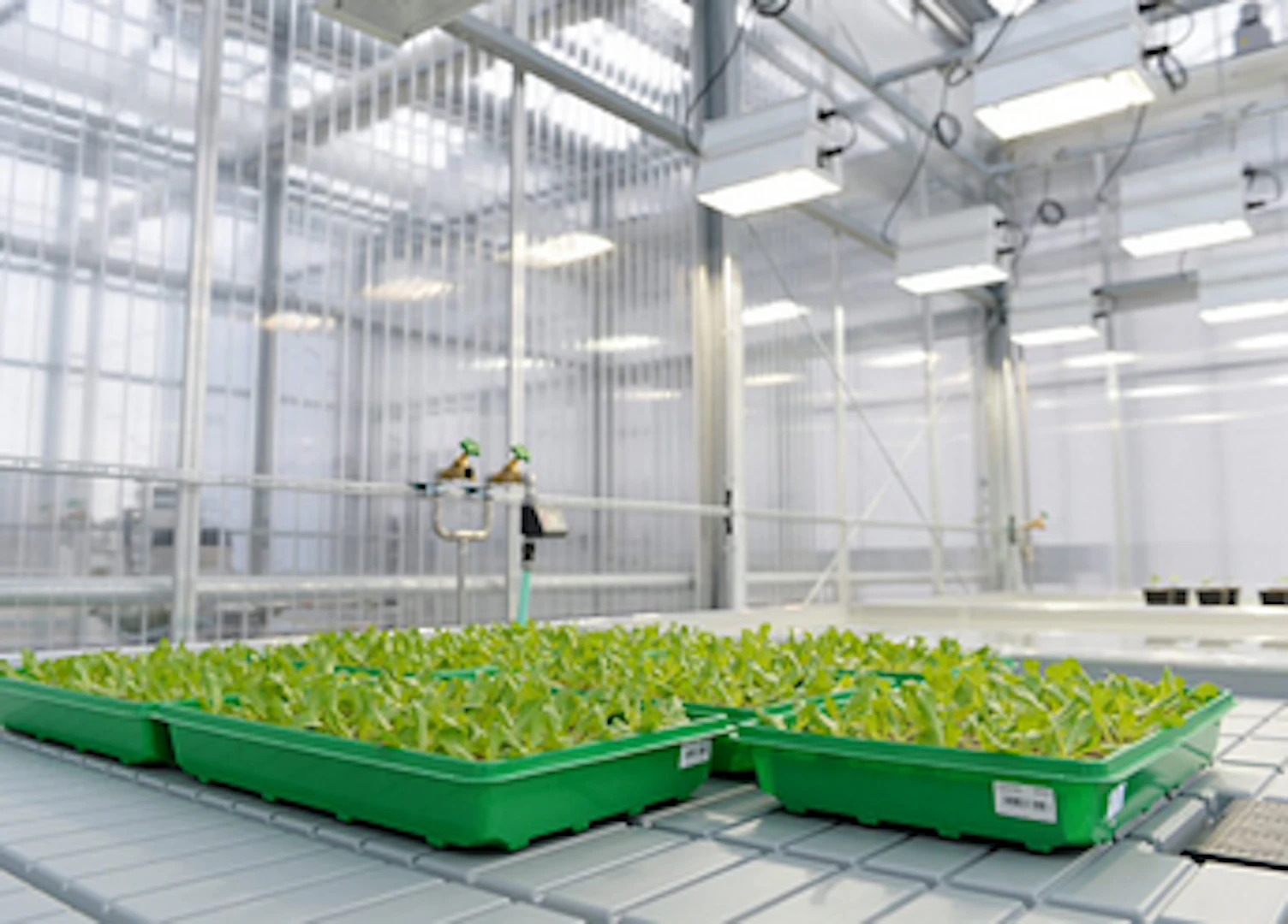czystosc mikrobiologiczna powierzchni produkcyjnych