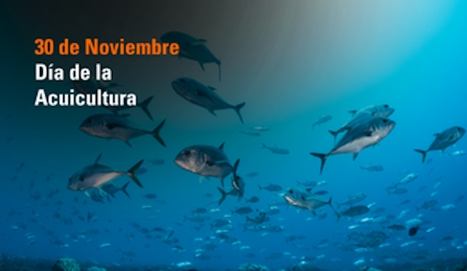 Dia de la Acuicultura