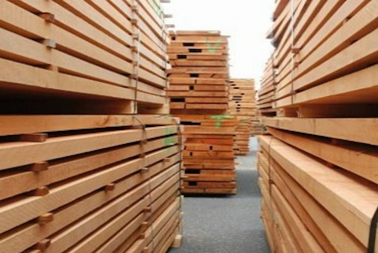 drewno konstrukcyjnewww