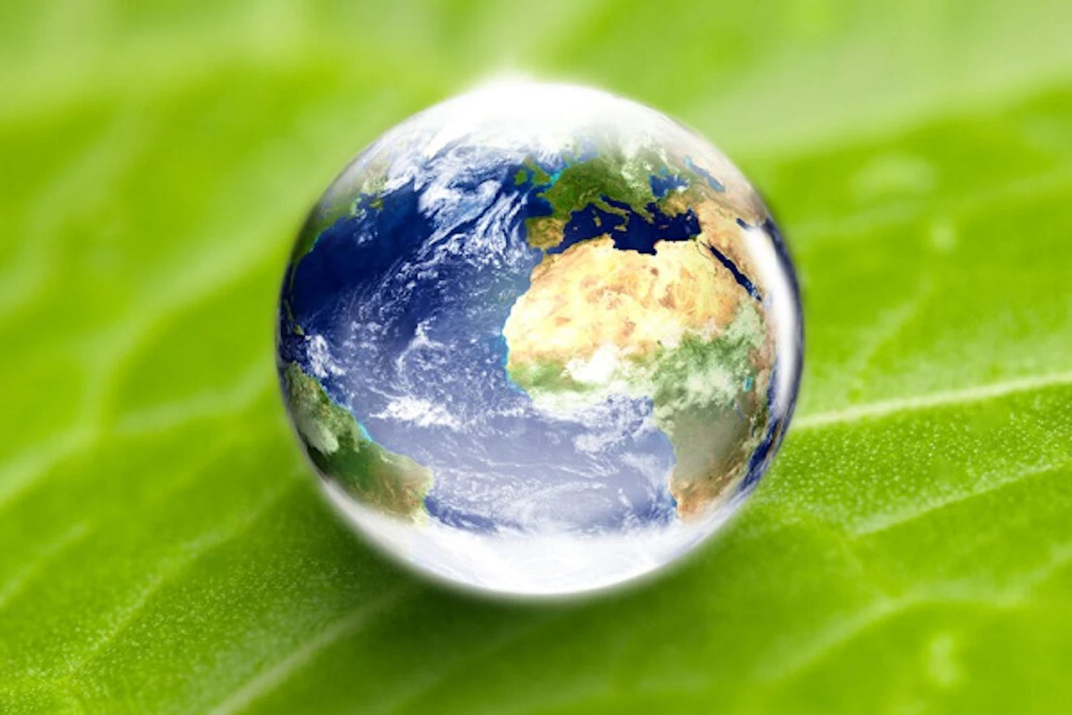 environmentalconservationconceptGetty168859824600x400