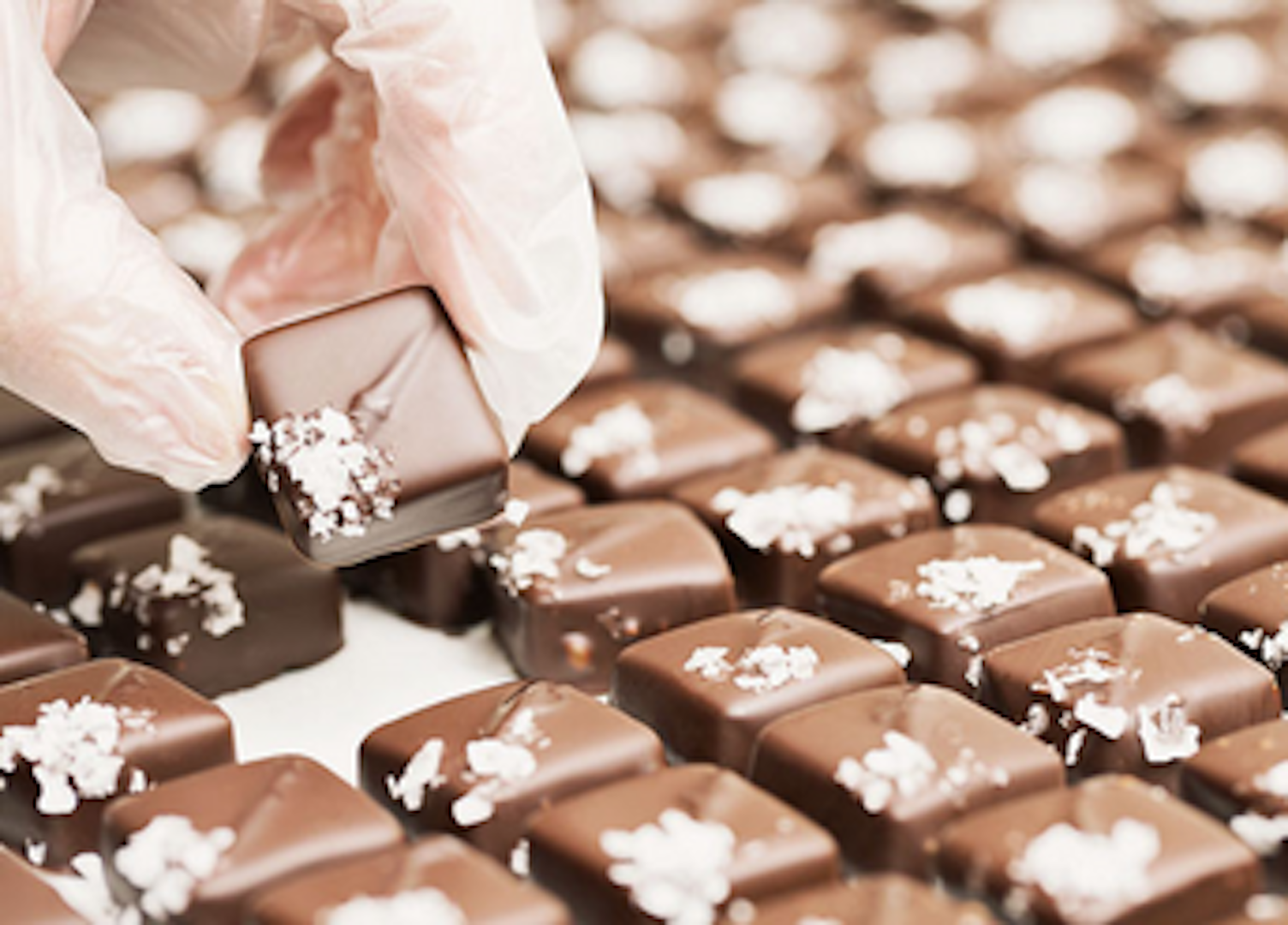etykiety czekolad i wyrobow czekoladowych