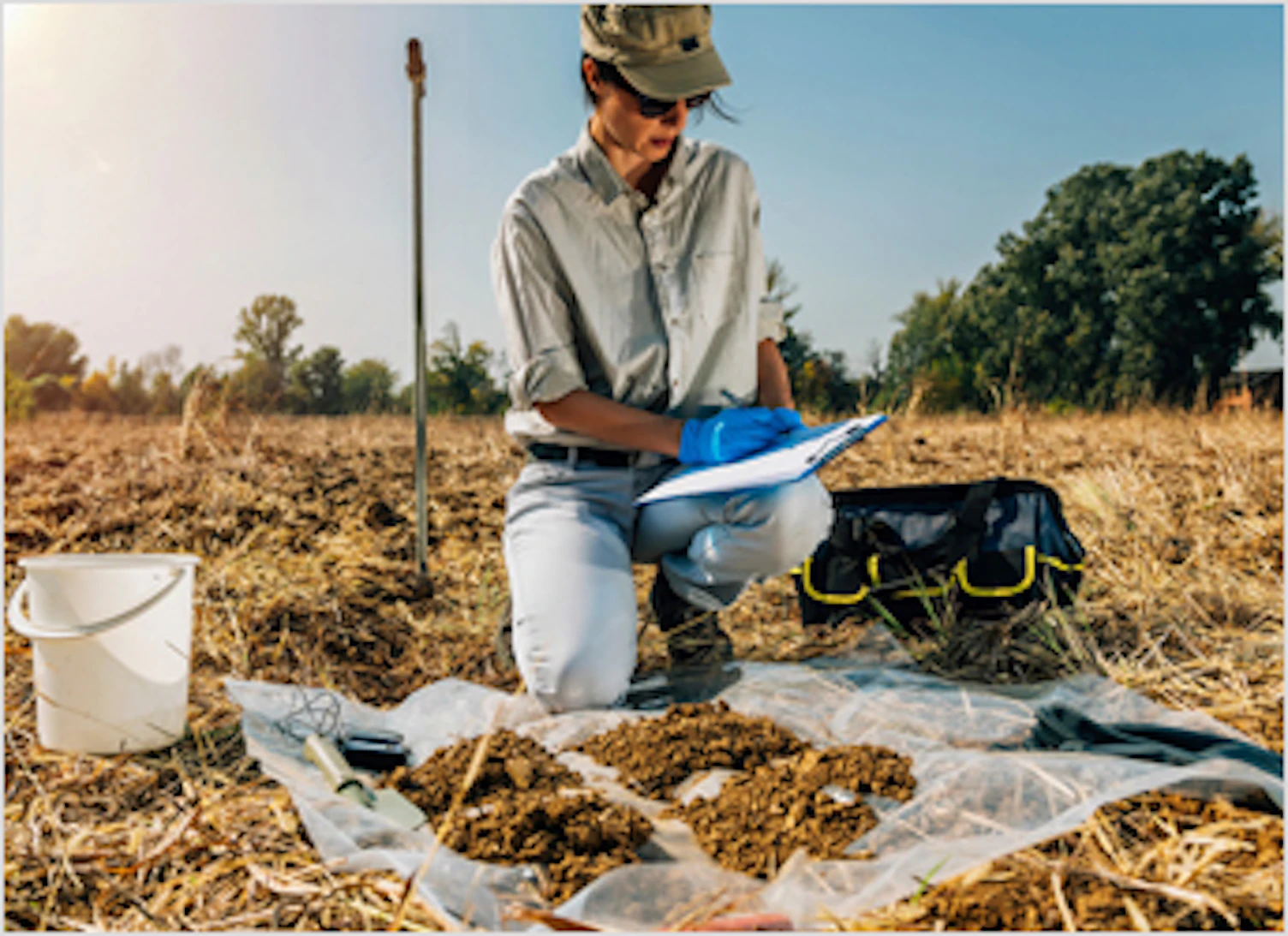 Female Agronomist Taking Notes in the Field 344px