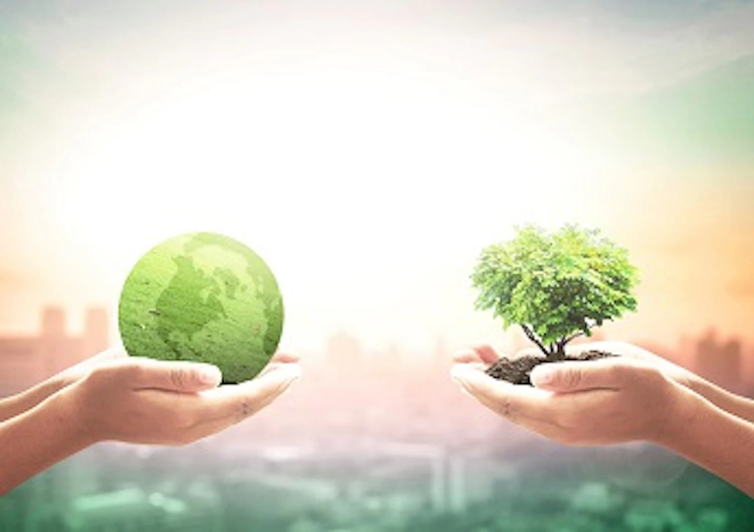 Green Ecology 2