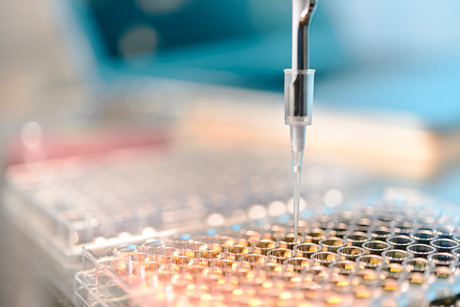 main feature Close Up of Pipette 684px