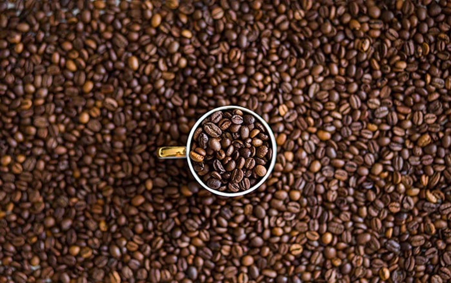 main feature coffee beans