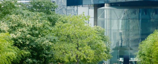 Main Feature Commuters Financial District with Trees