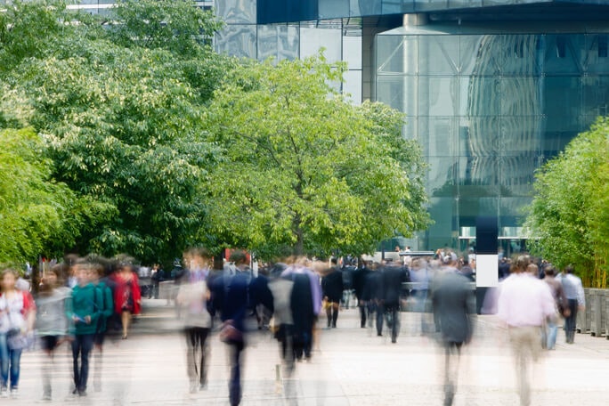 Main Feature Commuters Financial District with Trees