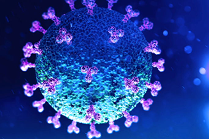 main feature coronavirus