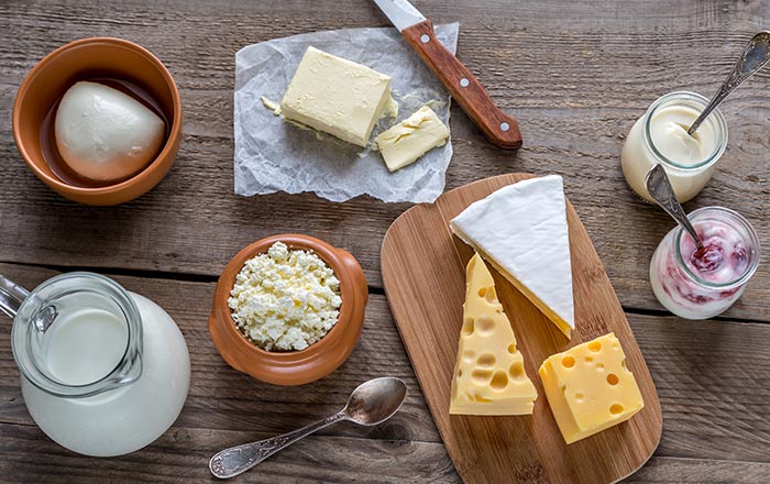 main feature dairy products