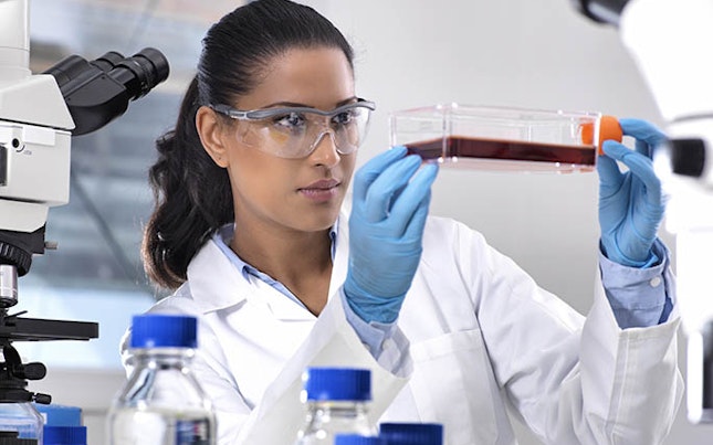 main feature female scientist viewing stem cells developing in a culture jar during an experiment in the laboratory