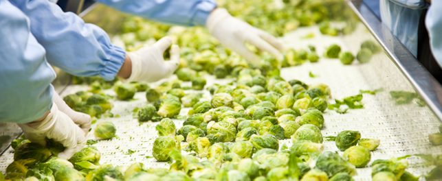 main feature food production