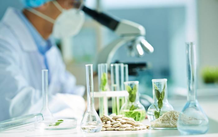 main feature food samples in lab