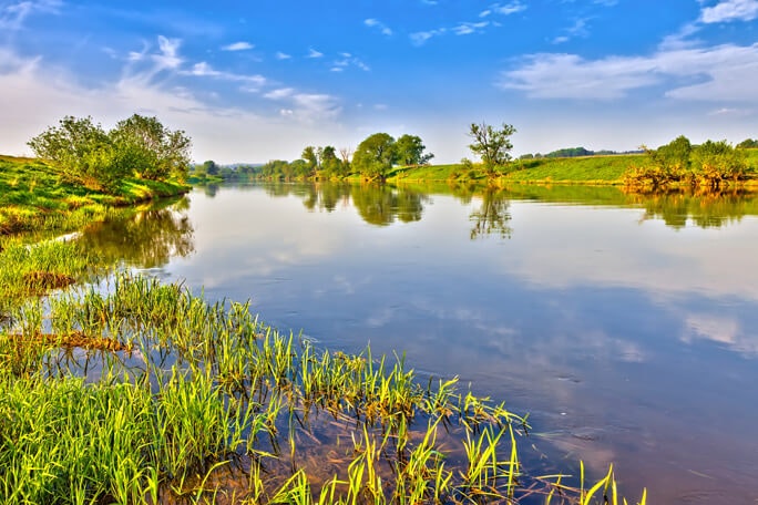 main feature green landscape summer