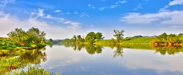 main feature green landscape summer