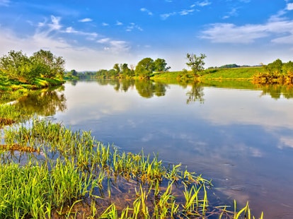 main feature green landscape summer