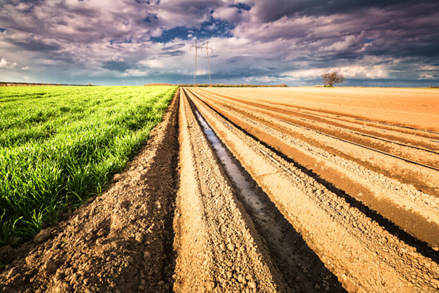 main feature ploughed field
