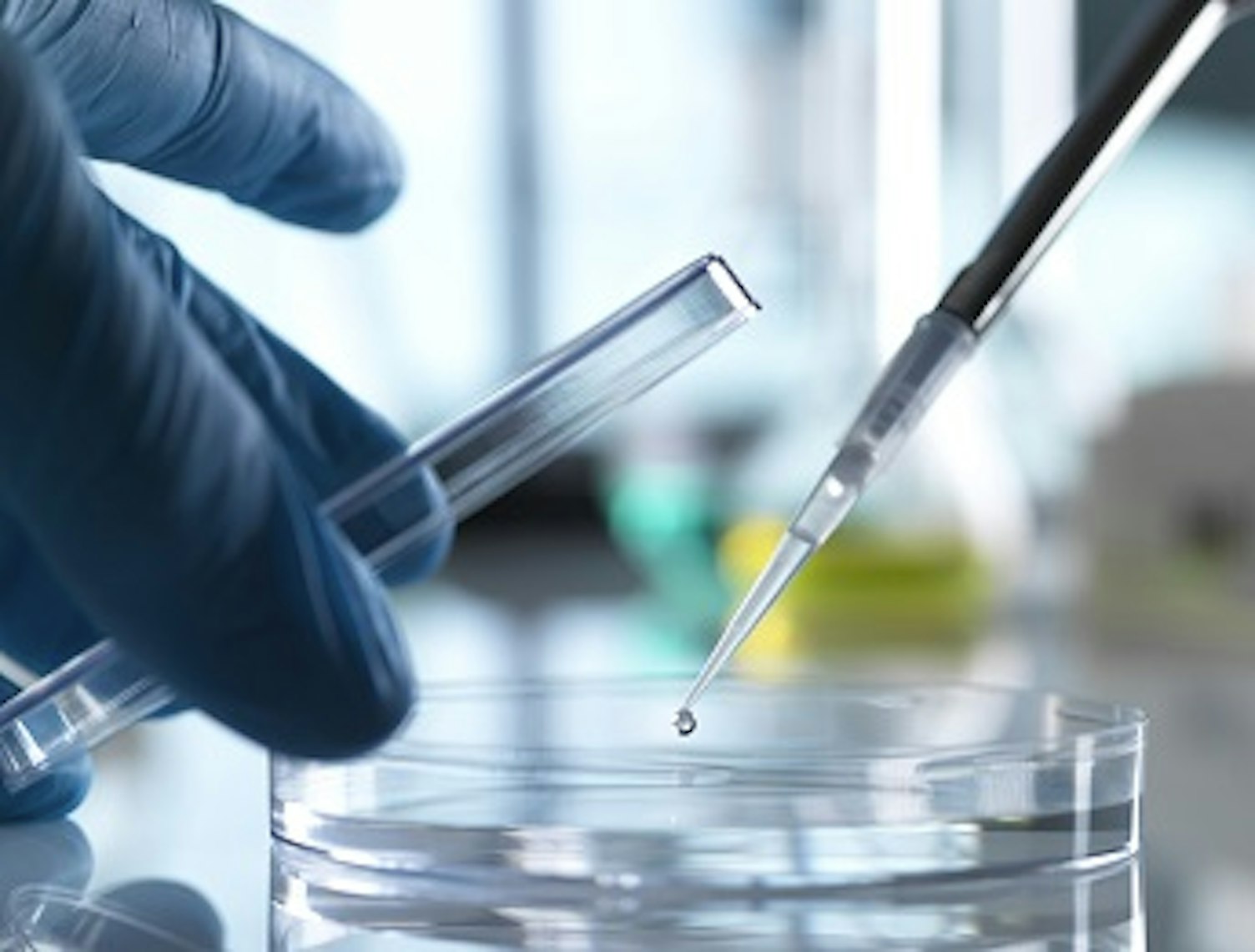 orig scientist pipetting sample into petri dish in laboratory