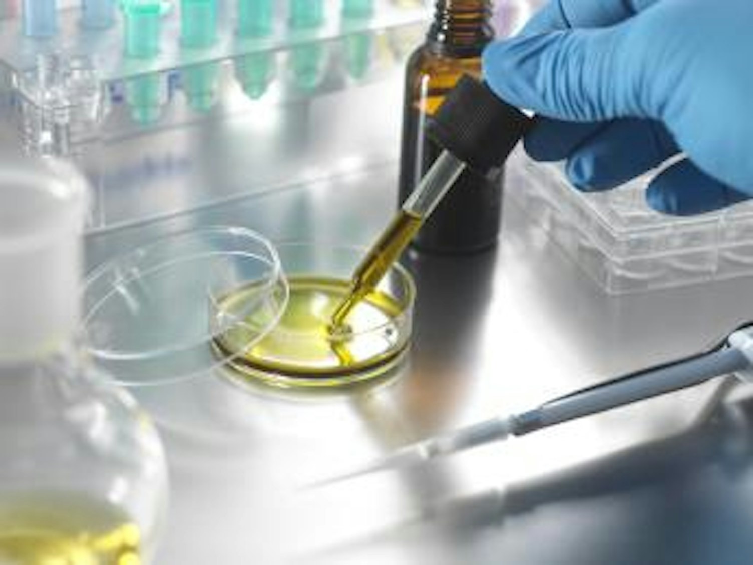 orig scientist testing oil in petri dish Getty1338820881