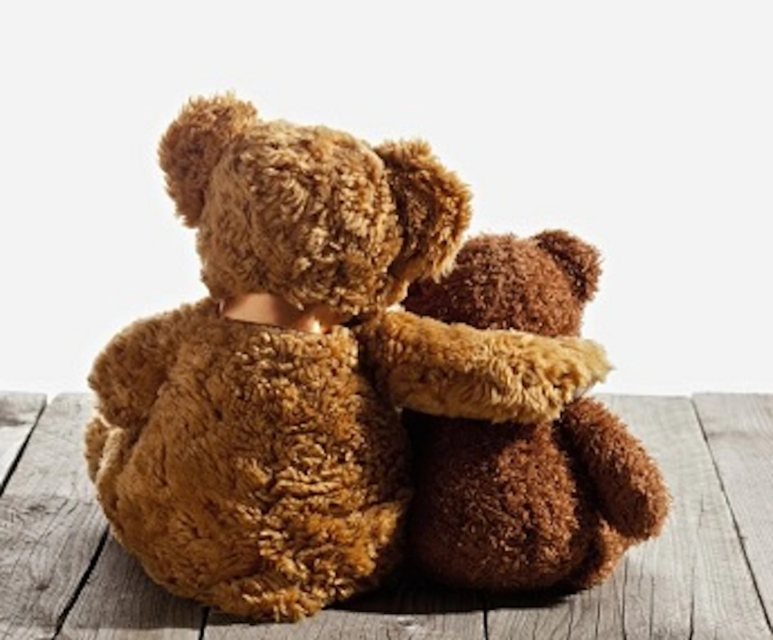 SG 10920 Bears