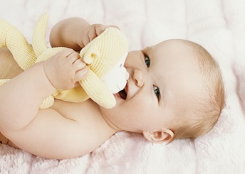 SG 13920 Plush Toy