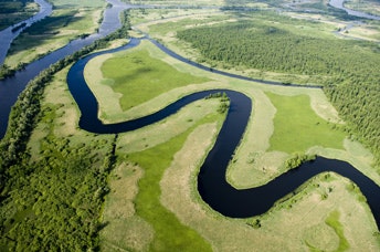 std aerial view of green landscape