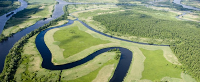 std aerial view of green landscape