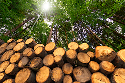 webinar FSC PEFC