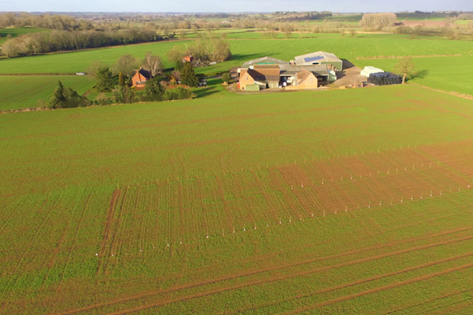 Wide Green Field 684px