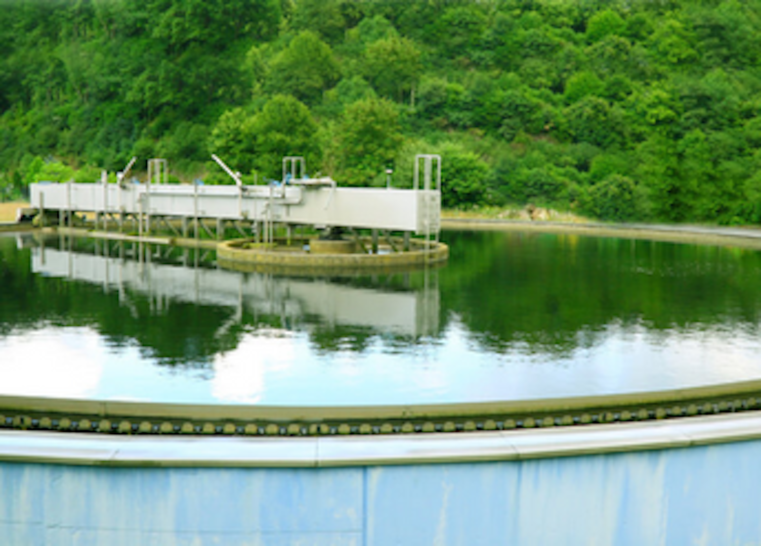 zbiornik wodny zlote algi