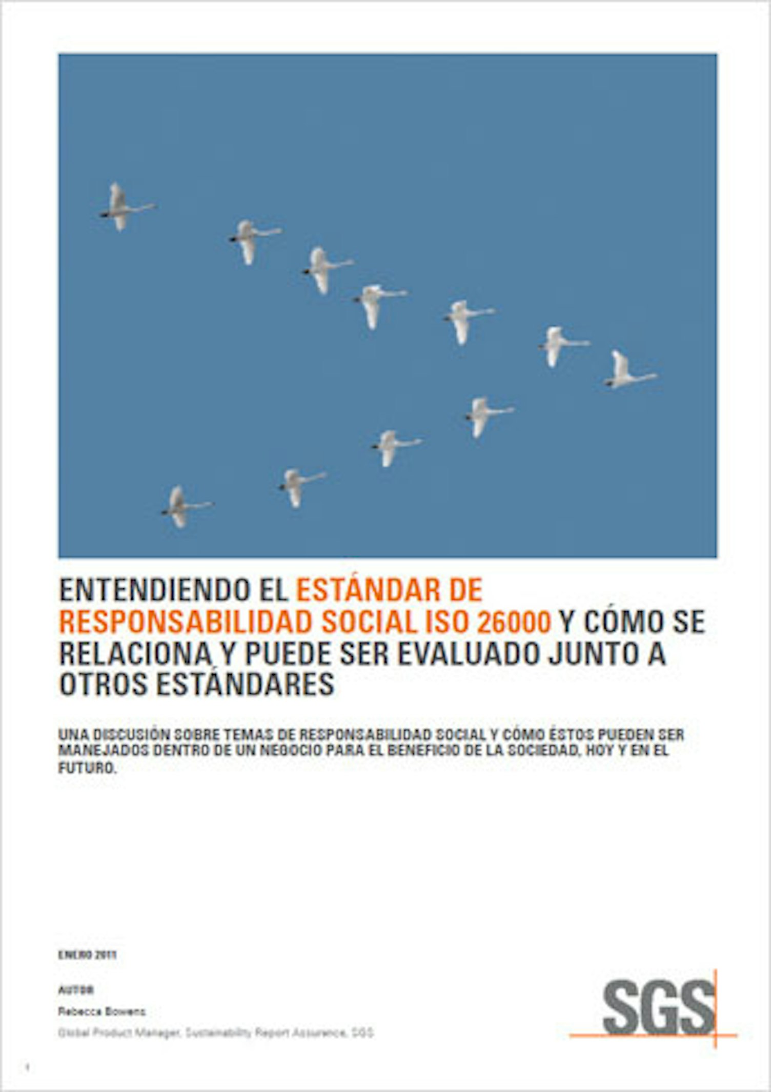 344 x 487 ISO 26000 ES