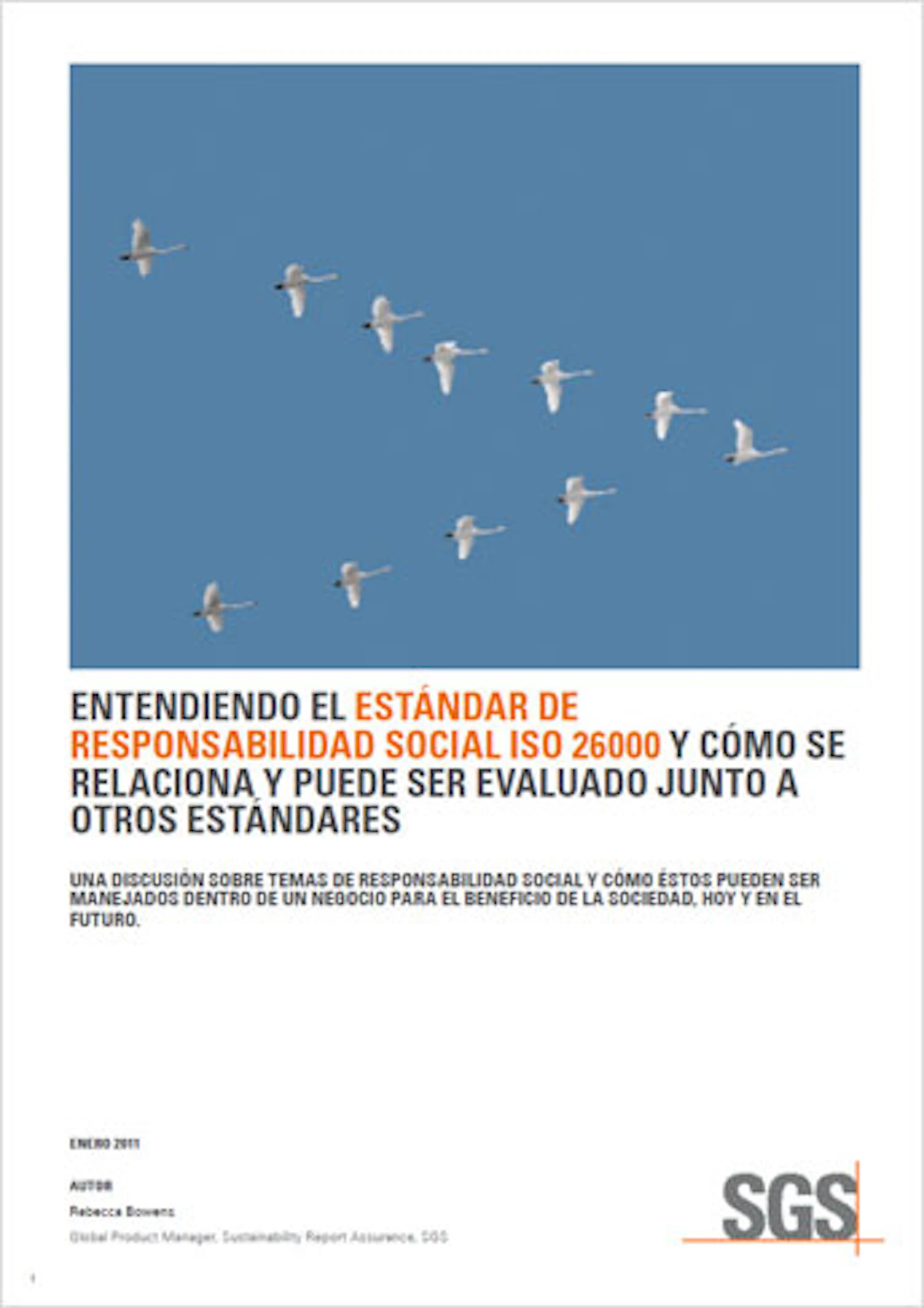 344 x 487 ISO 26000 ES