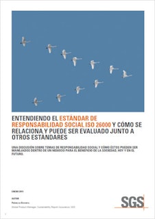 344 x 487 ISO 26000 ES